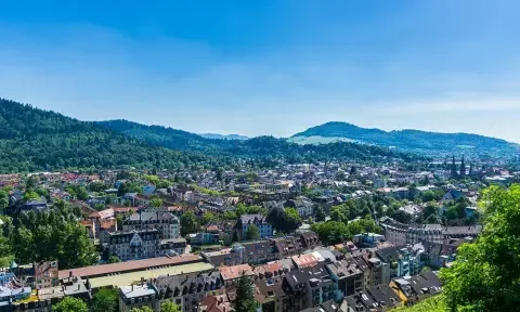 Pulizia di manutenzione a Friburgo in Brisgovia
